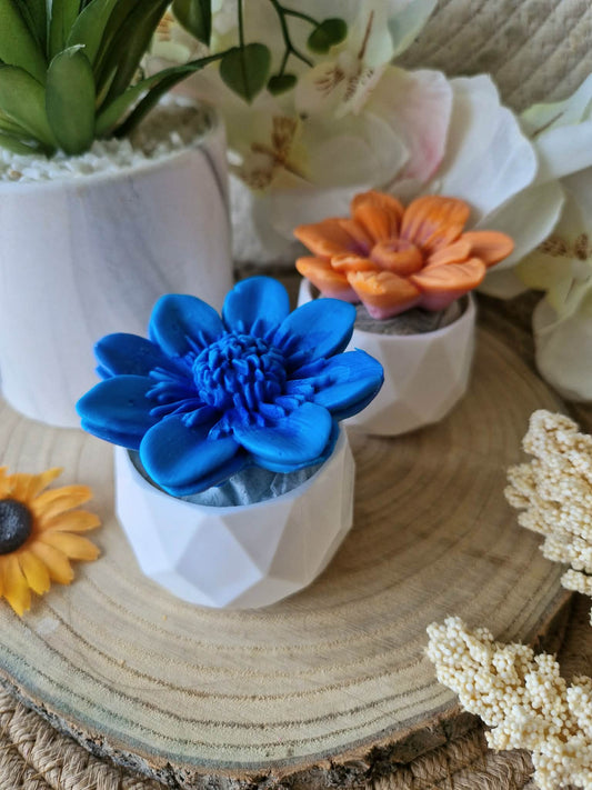 Mini Fleur Mûre Myrtille