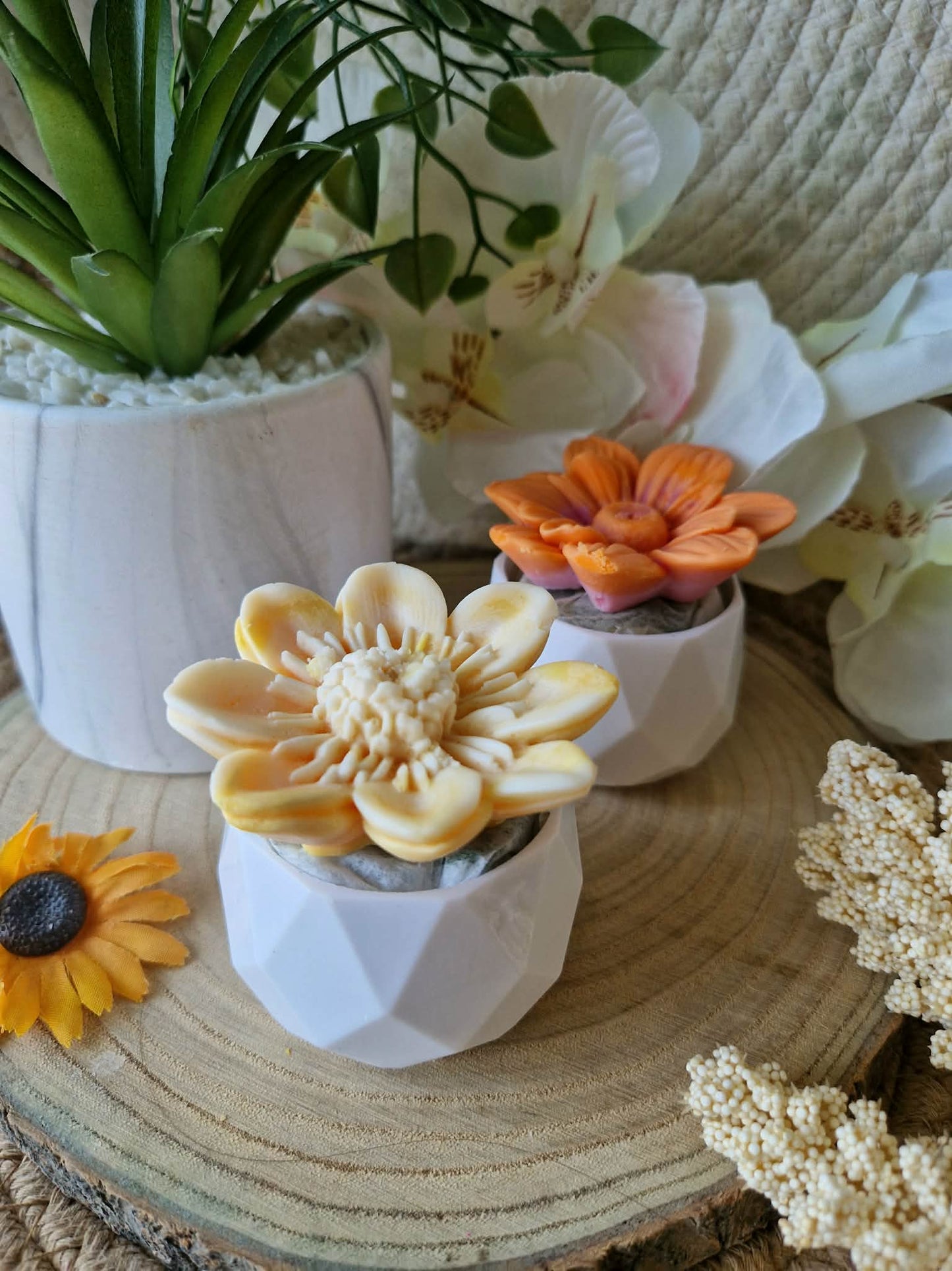 Mini Fleur Beauté des îles