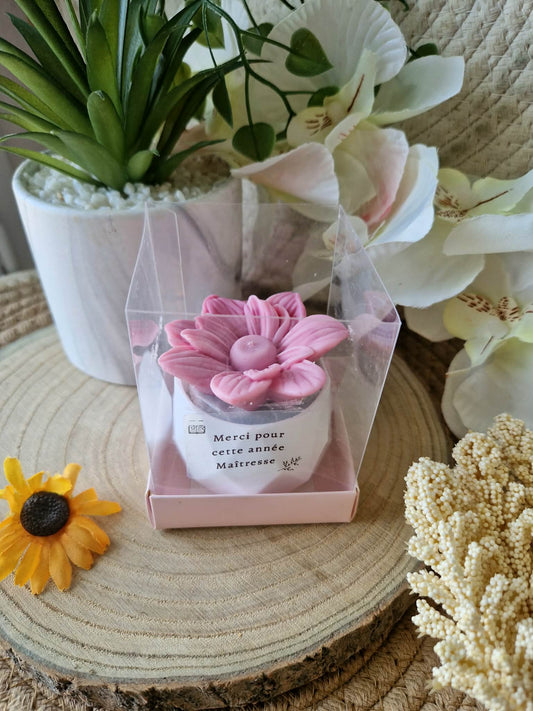 Mini Fleur Azalée du Japon